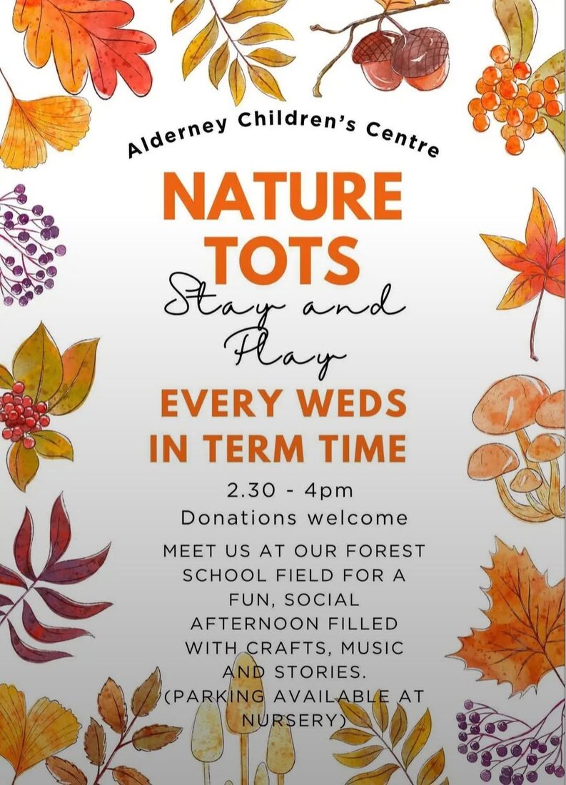 Poster for Nature Tots stay and play
