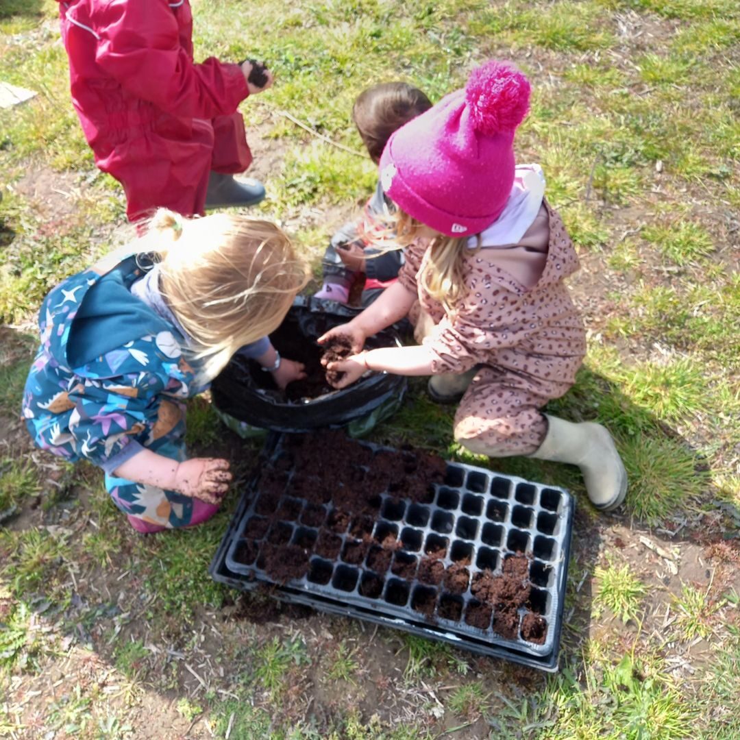 Children planting seed trays on the grass