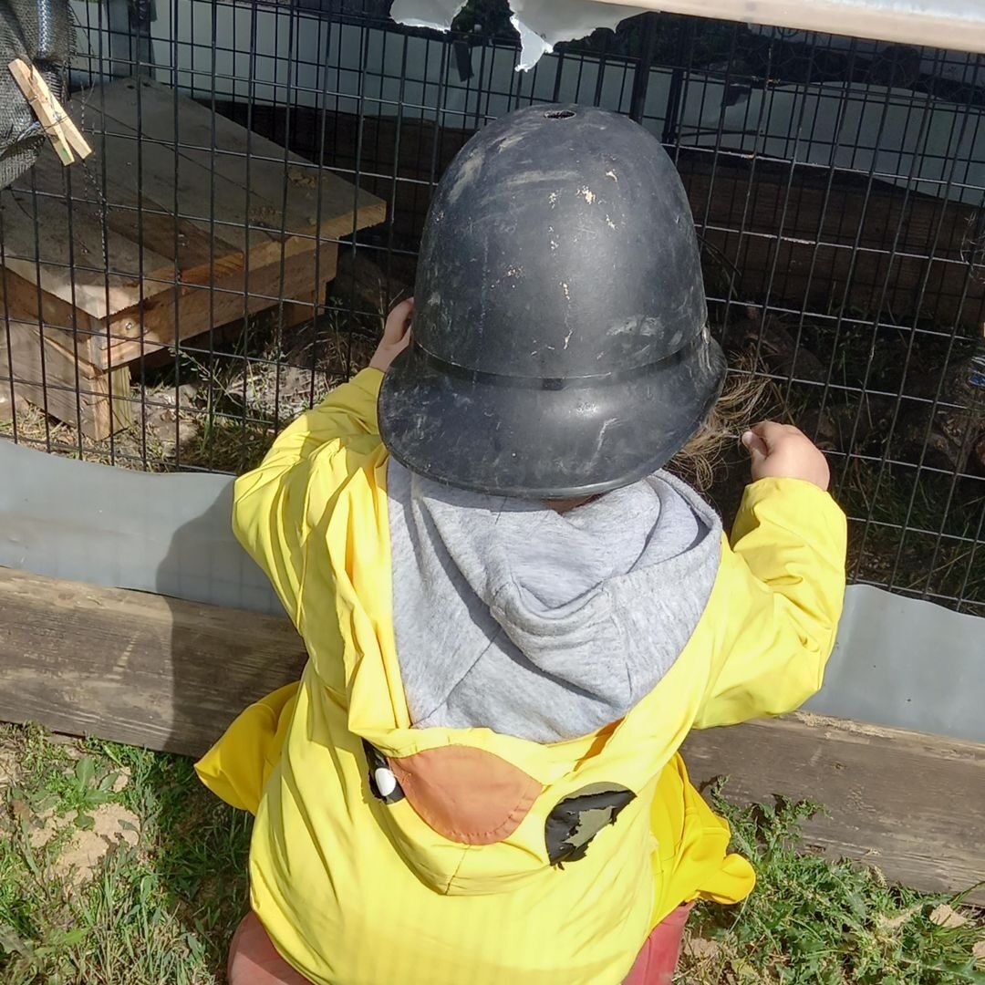 A child in a yellow coat meeting a hen by the run