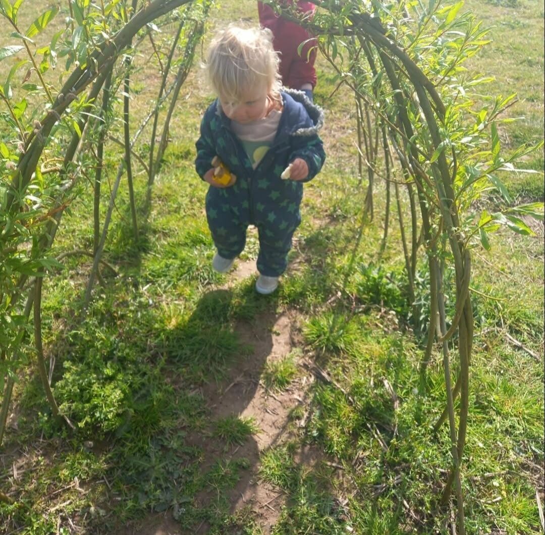 A toddler walking through a green willow tunnel