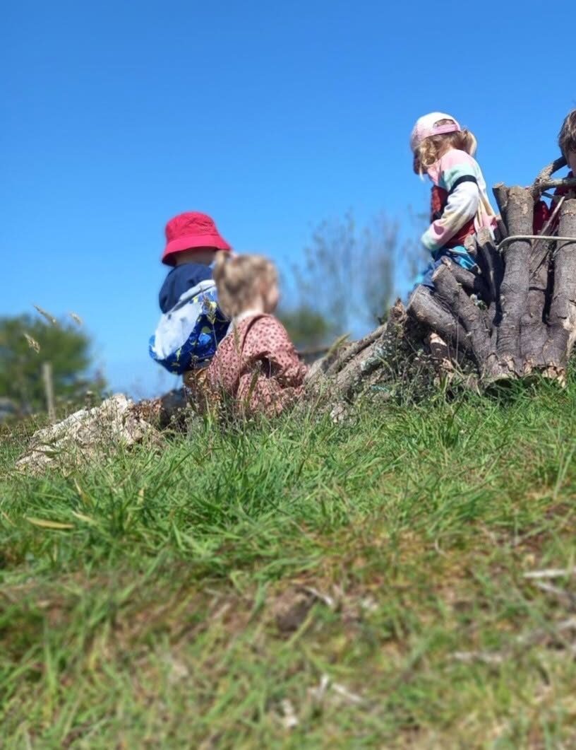Children scrambling on a pile of logs