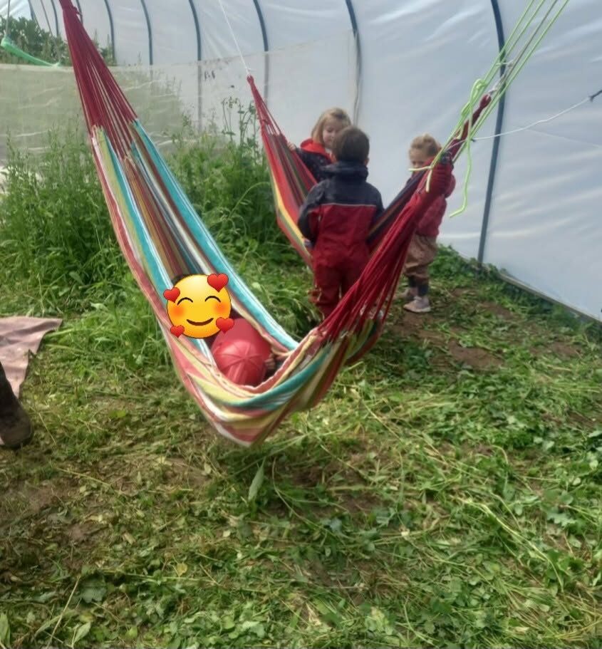 A child resting in a hammock in the polytunnel